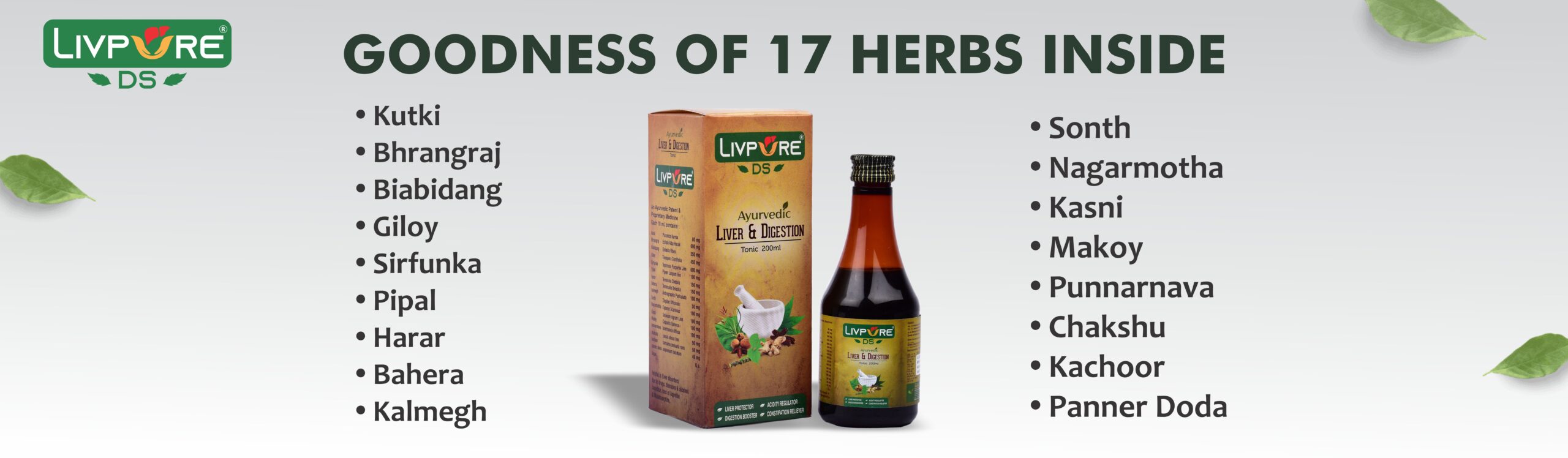 Ingredients of Livpure DS - 100% Ayurvedic Liver and DIgestion Syrup