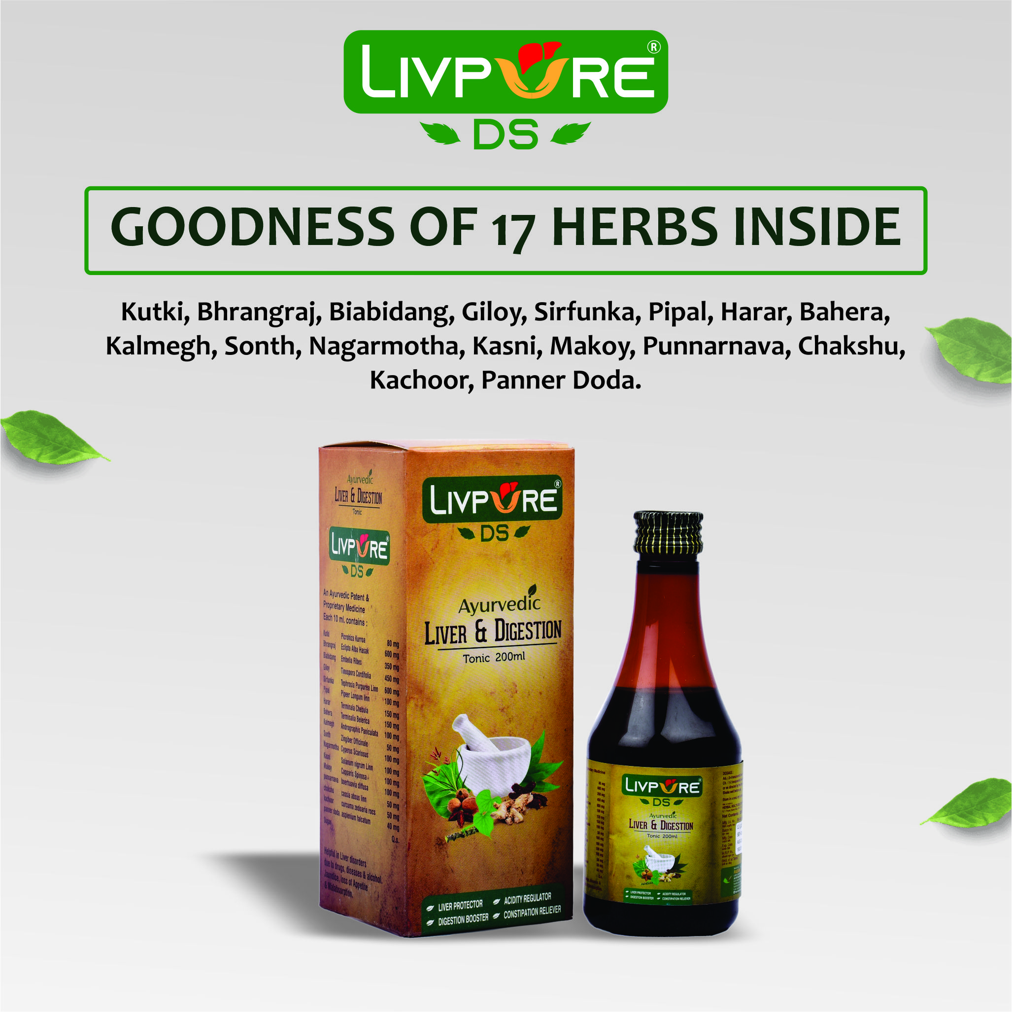 Ingredients of Livpure DS - 100% Ayurvedic Liver and DIgestion Syrup